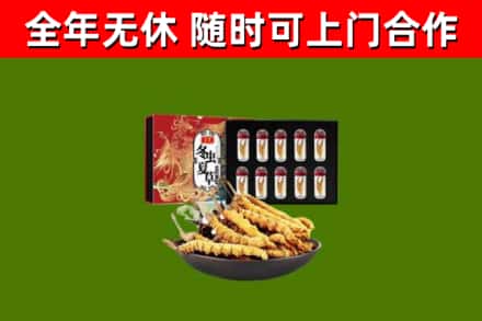 普兰店区回收冬虫夏草价格