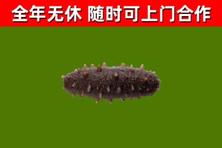 普兰店区烟酒回收干海参.jpg